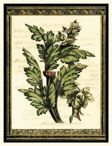 Leaves of Elegance I