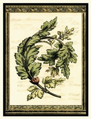 Leaves of Elegance II