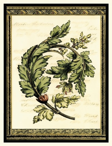 Leaves of Elegance II