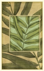 Palm Inset Composition I