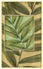 Palm Inset Composition II