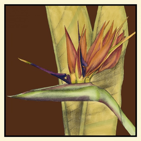 Striking Tropical II