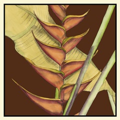 Striking Tropical III