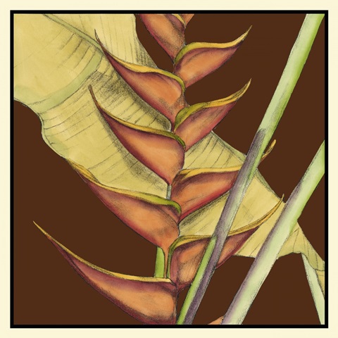 Striking Tropical III