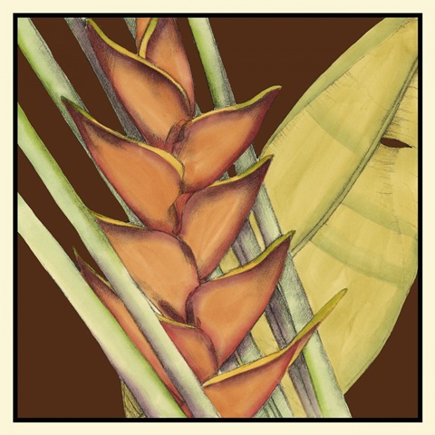 Striking Tropical IV