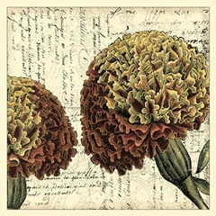 Vintage Composition IV