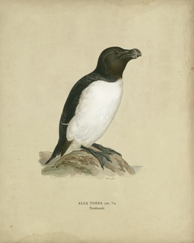Antique Penguin I