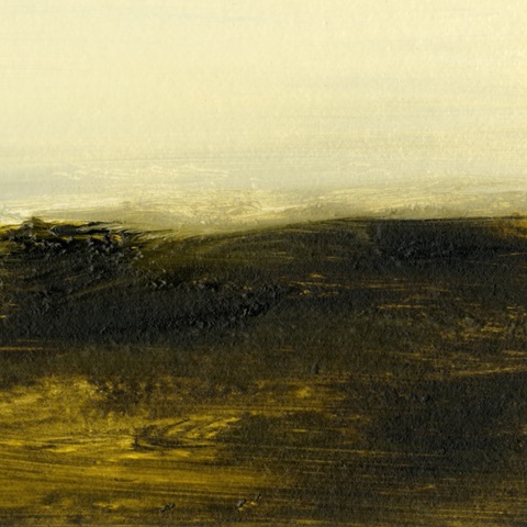 Light on the Horizon II