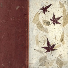 Earthen Textures XII