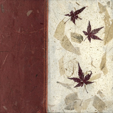 Earthen Textures XII