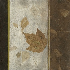 Earthen Textures XVI