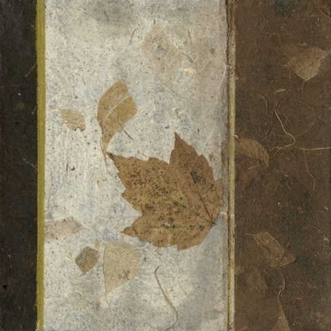 Earthen Textures XVI