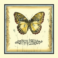 Butterfly and Wildflowers II