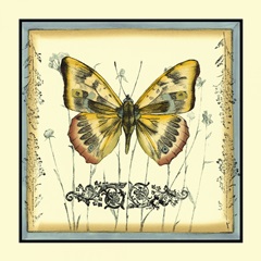 Butterfly and Wildflowers IV