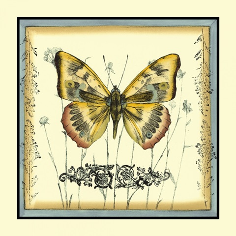 Butterfly and Wildflowers IV