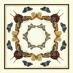 Butterfly Collector I