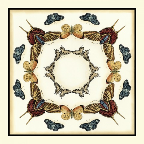 Butterfly Collector I