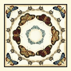 Butterfly Collector II