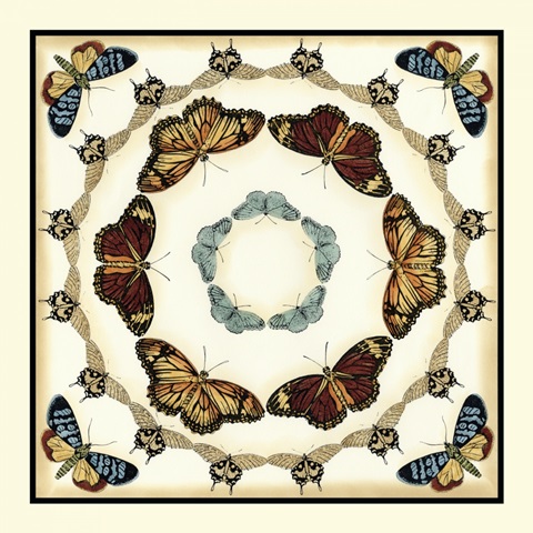 Butterfly Collector II