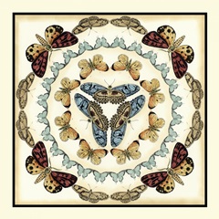 Butterfly Collector IV