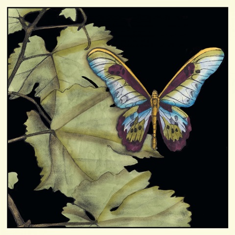 Butterfly on Vine II
