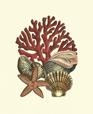 Coral Medley I