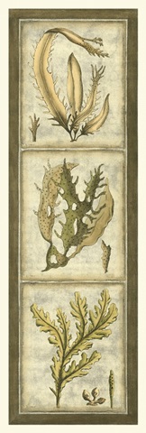 Exotic Seaweed Panel I