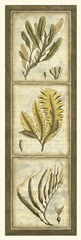 Exotic Seaweed Panel II