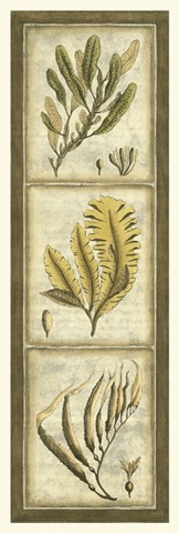 Exotic Seaweed Panel II