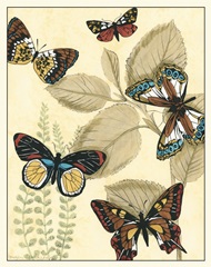 Graphic Butterflies in Nature I