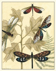 Graphic Dragonflies in Nature I