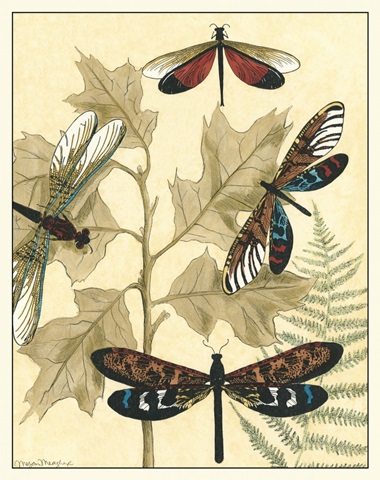 Graphic Dragonflies in Nature I