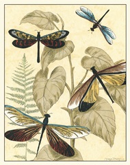 Graphic Dragonflies in Nature II