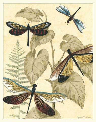 Graphic Dragonflies in Nature II