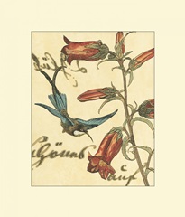 Hummingbird Reverie I