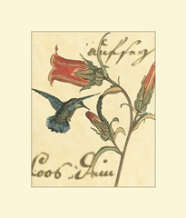 Hummingbird Reverie III