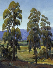 Immersed with Light I