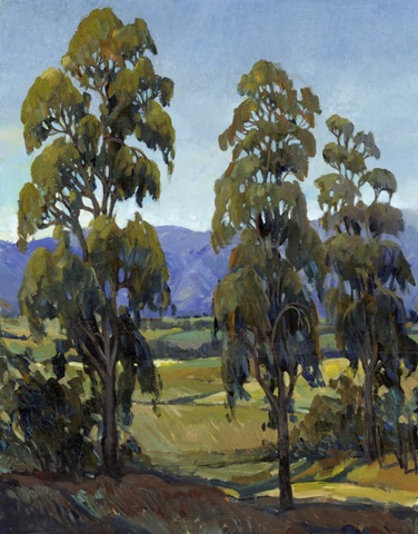 Immersed with Light I