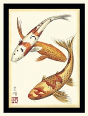 Koi Fish I
