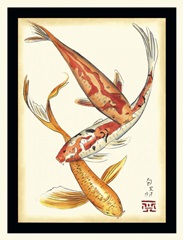 Koi Fish II
