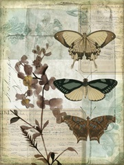 Music Box Butterflies II
