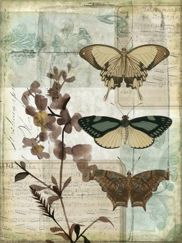 Music Box Butterflies II