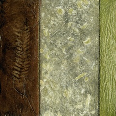 Earthen Textures I