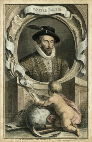 Houbraken Portrait V