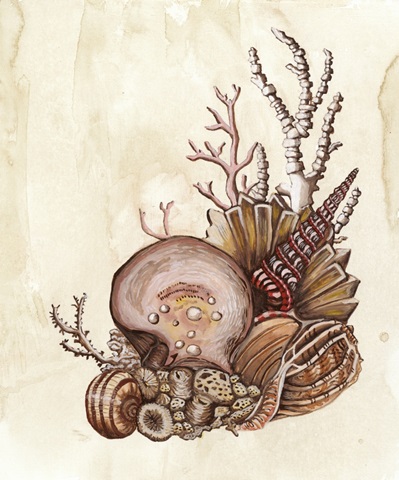 Baroque Nautilus I