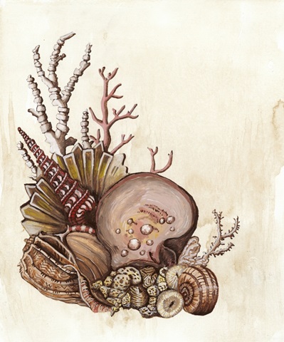 Baroque Nautilus III