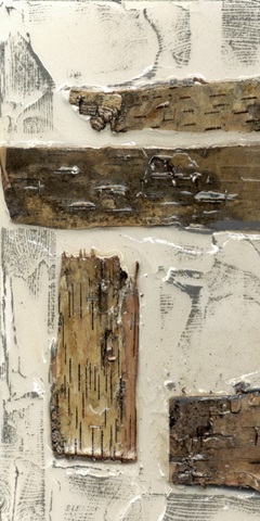 Birch Bark Abstract I