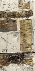 Birch Bark Abstract II