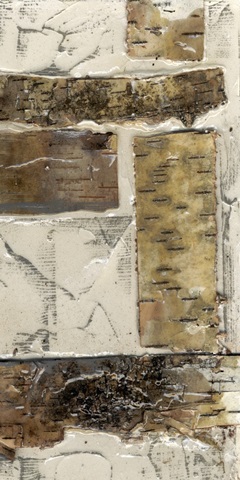 Birch Bark Abstract II
