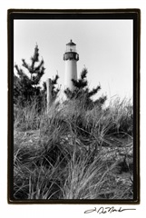 Cape May Afternoon I